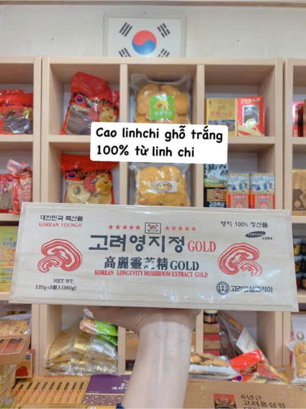 Cao linh chi GOLD Korean Youngji hộp gỗ đen Hàn Quốc