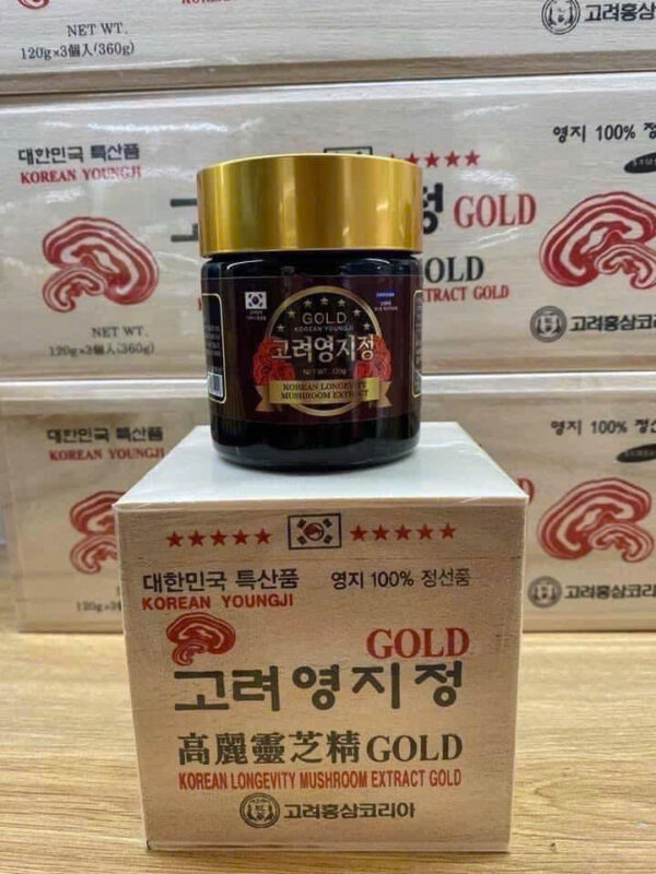 Cao linh chi GOLD Korean Youngji hộp gỗ đen Hàn Quốc